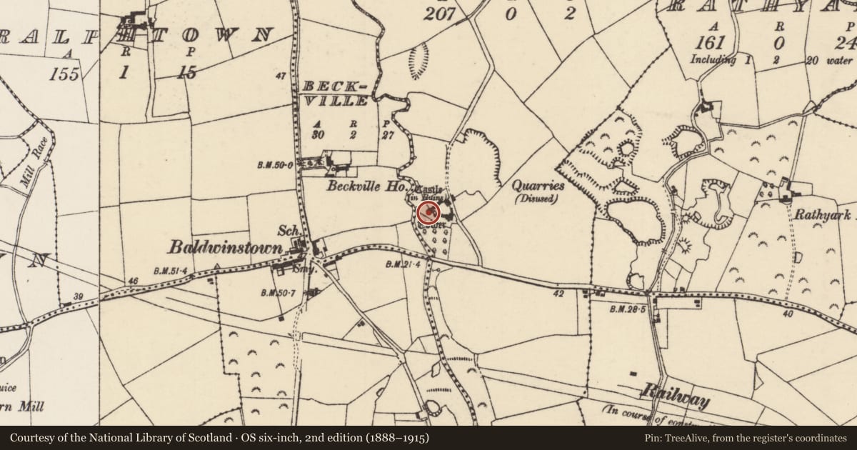Ordnance Survey six-inch map, 2nd edition (1888–1915) covering the location of Castle - tower house, Baldwinstown, County Wexford, with a pin at the register's coordinates