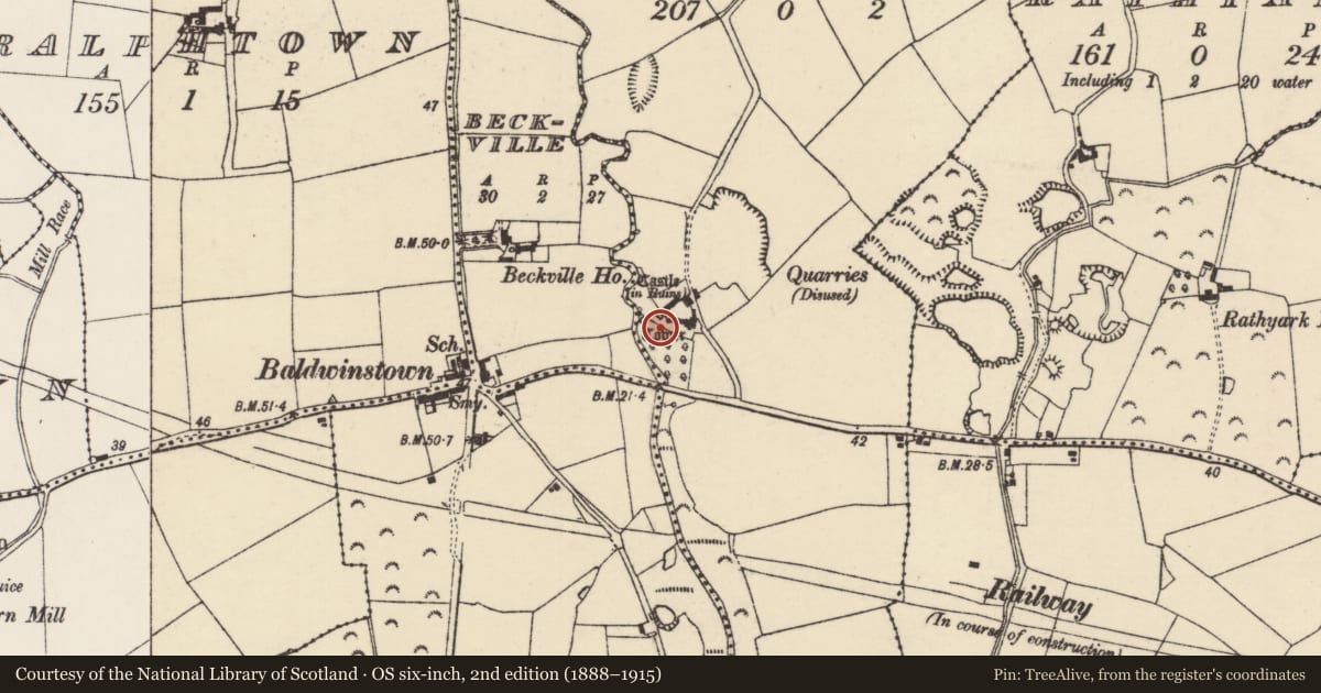 Ordnance Survey six-inch map, 2nd edition (1888–1915) covering the location of Bawn, Baldwinstown, County Wexford, with a pin at the register's coordinates