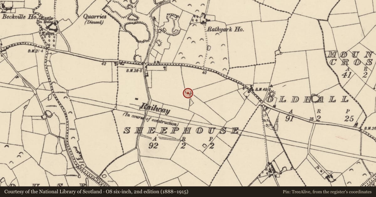 Ordnance Survey six-inch map, 2nd edition (1888–1915) covering the location of Ringfort - rath, Sheephouse, County Wexford, with a pin at the register's coordinates