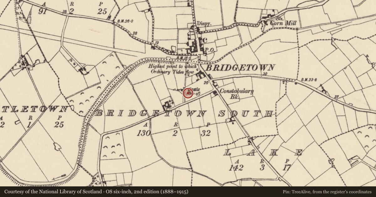 Ordnance Survey six-inch map, 2nd edition (1888–1915) covering the location of Ritual site - holy well, Bridgetown South, County Wexford, with a pin at the register's coordinates