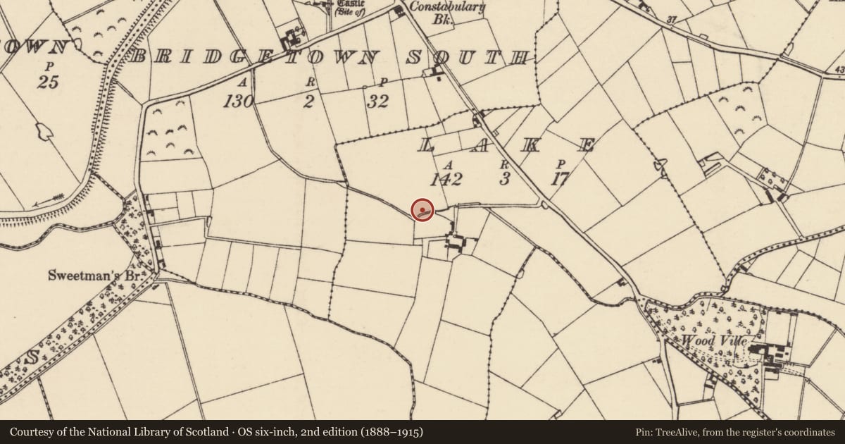 Ordnance Survey six-inch map, 2nd edition (1888–1915) covering the location of Church, Lake, County Wexford, with a pin at the register's coordinates