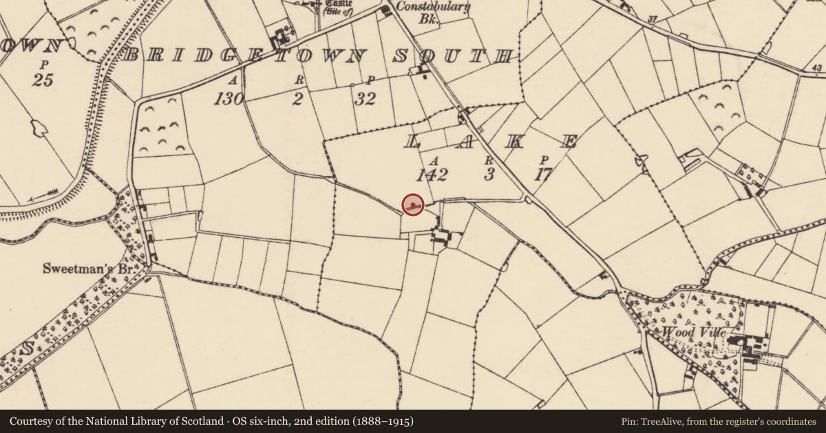 Ordnance Survey six-inch map, 2nd edition (1888–1915) covering the location of Enclosure, Lake, County Wexford, with a pin at the register's coordinates