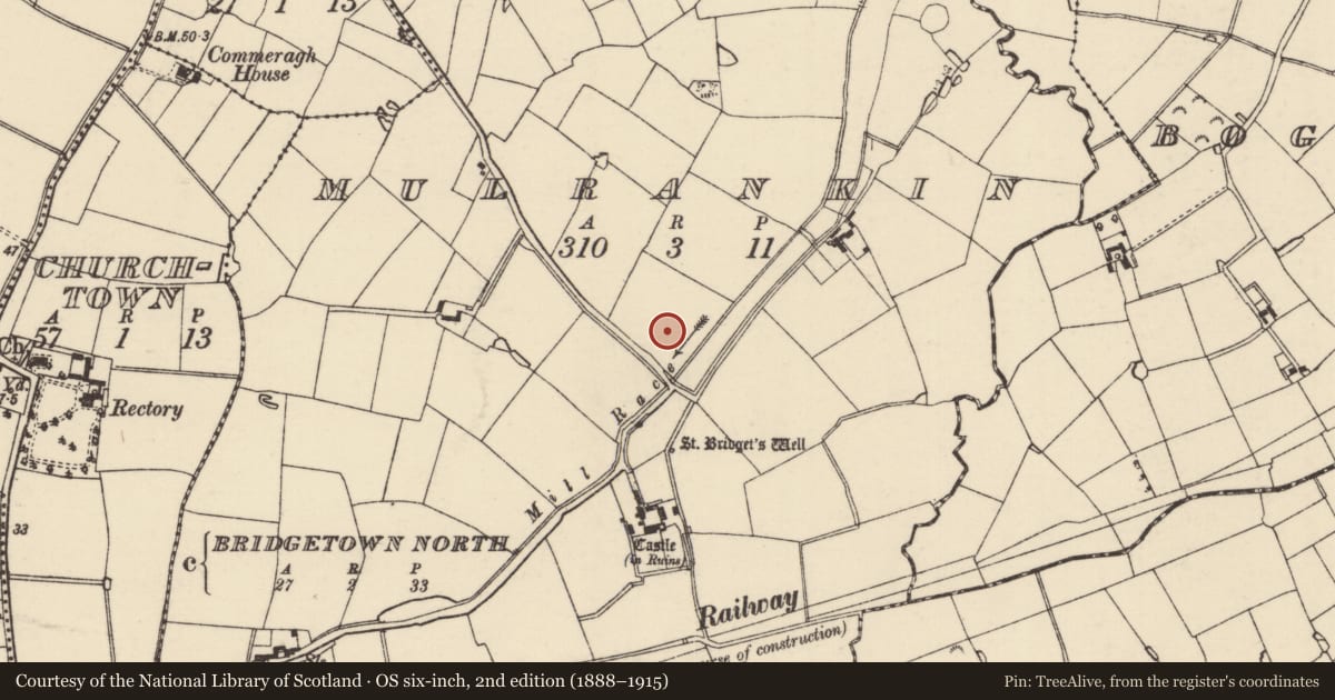 Ordnance Survey six-inch map, 2nd edition (1888–1915) covering the location of Church, Mulrankin, County Wexford, with a pin at the register's coordinates