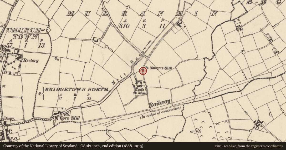 Ordnance Survey six-inch map, 2nd edition (1888–1915) covering the location of Ritual site - holy well, Mulrankin, County Wexford, with a pin at the register's coordinates