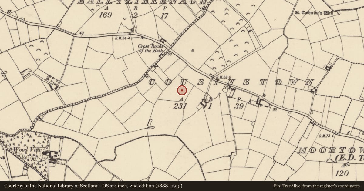 Ordnance Survey six-inch map, 2nd edition (1888–1915) covering the location of Ringfort - rath, Cousinstown, County Wexford, with a pin at the register's coordinates