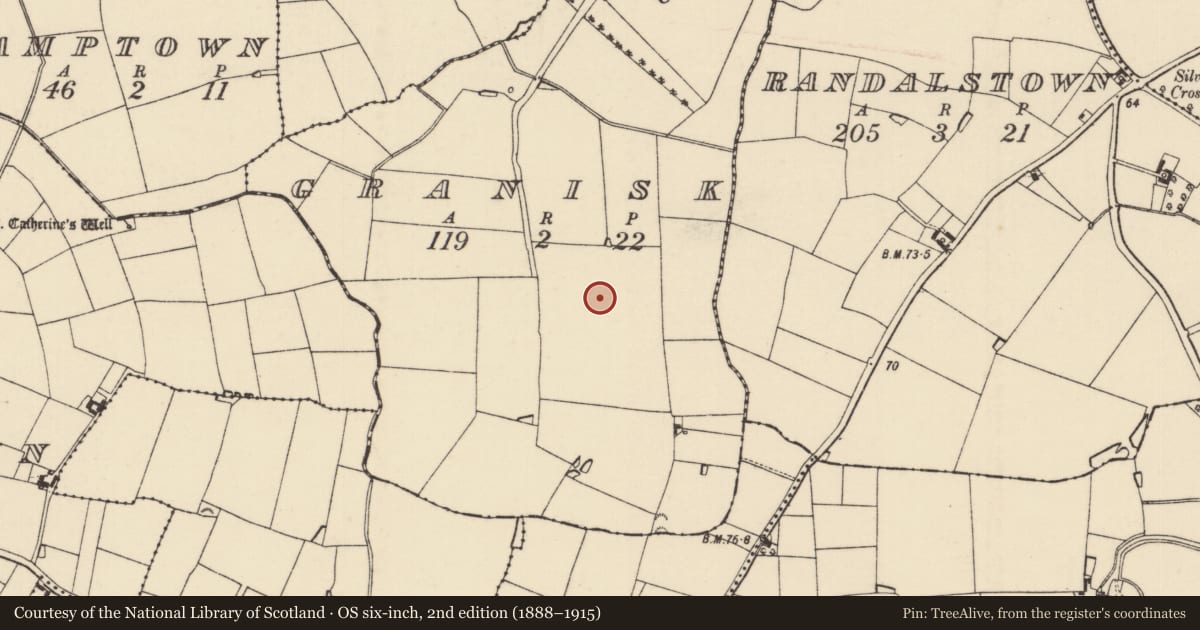 Ordnance Survey six-inch map, 2nd edition (1888–1915) covering the location of Enclosure, Granisk, County Wexford, with a pin at the register's coordinates