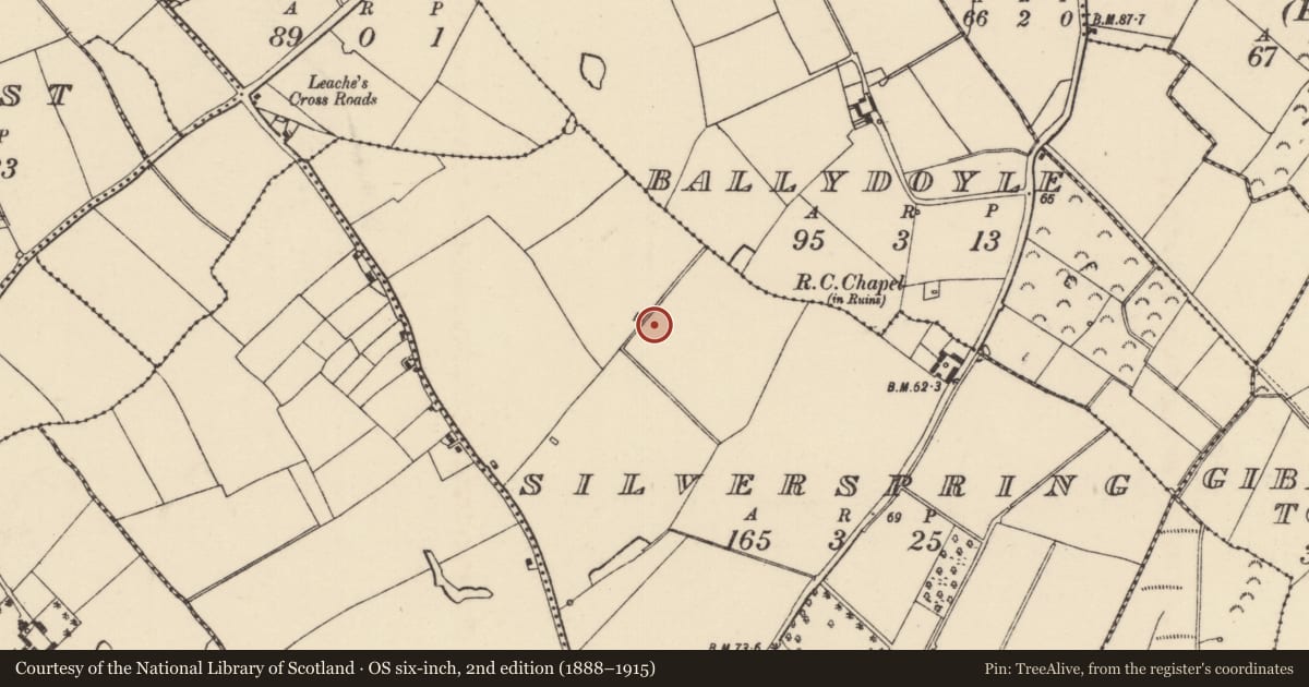 Ordnance Survey six-inch map, 2nd edition (1888–1915) covering the location of Ringfort - rath, Silverspring, County Wexford, with a pin at the register's coordinates