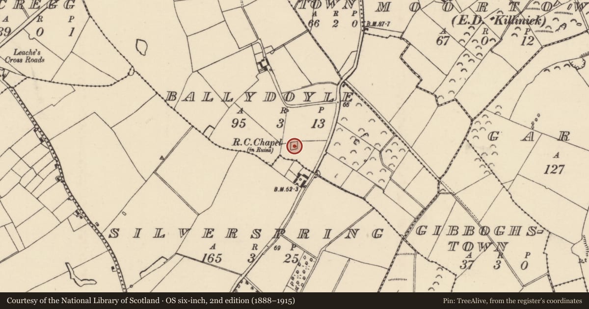 Ordnance Survey six-inch map, 2nd edition (1888–1915) covering the location of Churchyard, Ballydoyle, County Wexford, with a pin at the register's coordinates