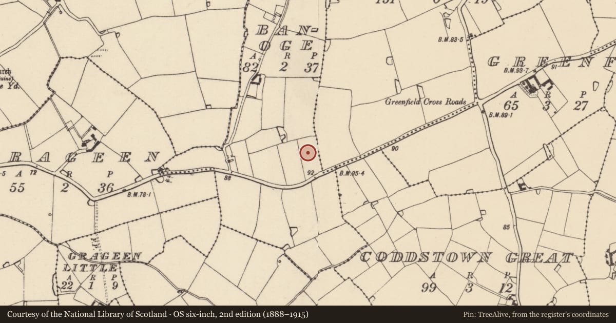 Ordnance Survey six-inch map, 2nd edition (1888–1915) covering the location of Standing stone, Banoge, County Wexford, with a pin at the register's coordinates