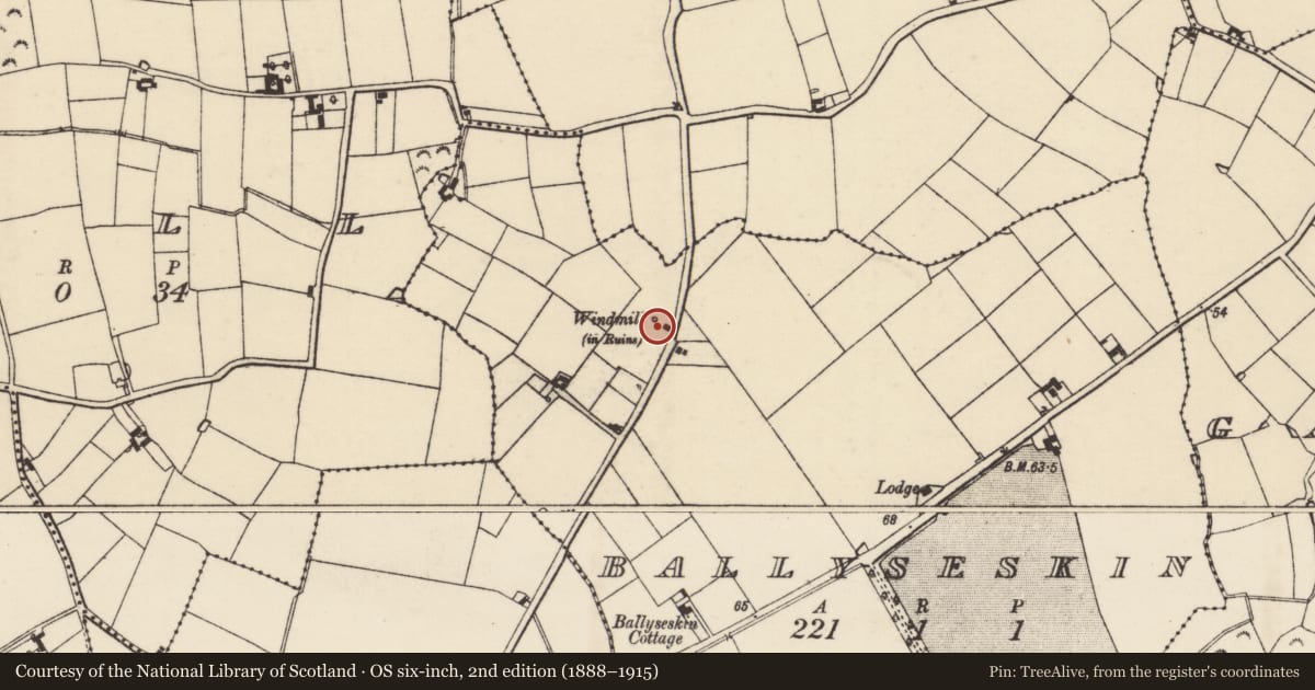 Ordnance Survey six-inch map, 2nd edition (1888–1915) covering the location of Windmill, Ballyseskin, County Wexford, with a pin at the register's coordinates