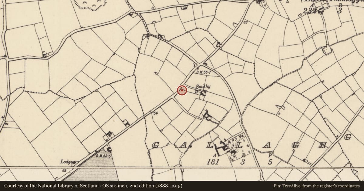 Ordnance Survey six-inch map, 2nd edition (1888–1915) covering the location of Ringfort - rath, Gallagh, County Wexford, with a pin at the register's coordinates