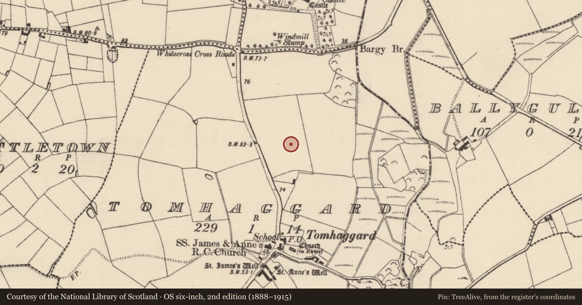 Ordnance Survey six-inch map, 2nd edition (1888–1915) covering the location of Ringfort - rath, Tomhaggard, County Wexford, with a pin at the register's coordinates
