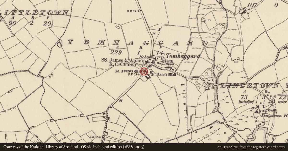 Ordnance Survey six-inch map, 2nd edition (1888–1915) covering the location of Ritual site - holy well, Tomhaggard, County Wexford, with a pin at the register's coordinates