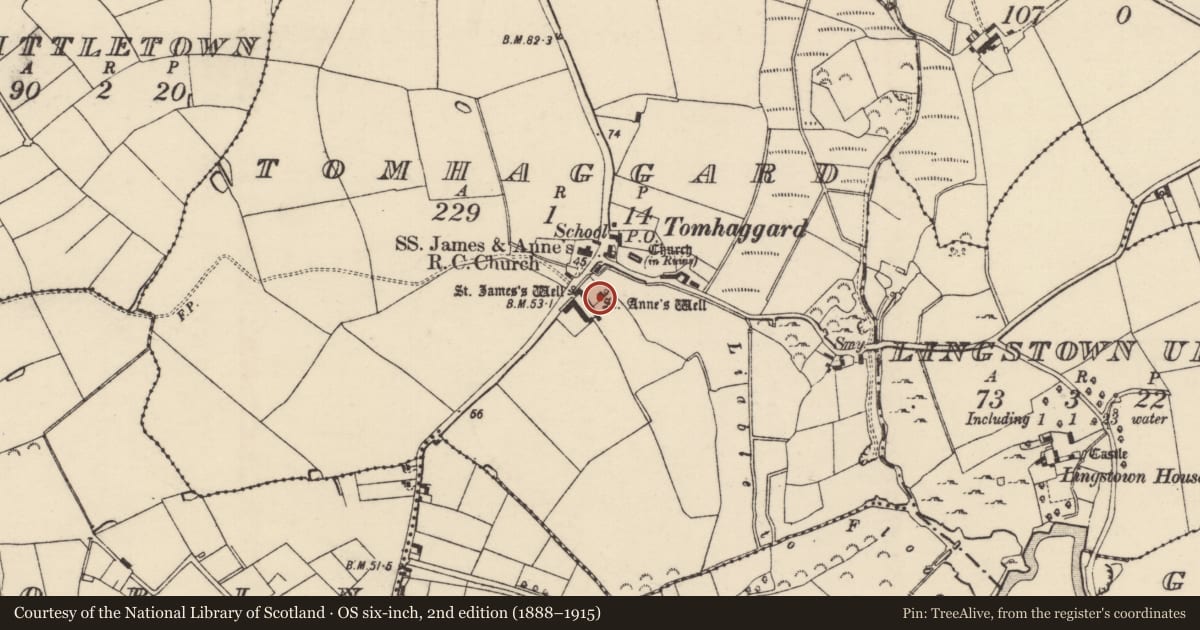Ordnance Survey six-inch map, 2nd edition (1888–1915) covering the location of Mass-house, Tomhaggard, County Wexford, with a pin at the register's coordinates