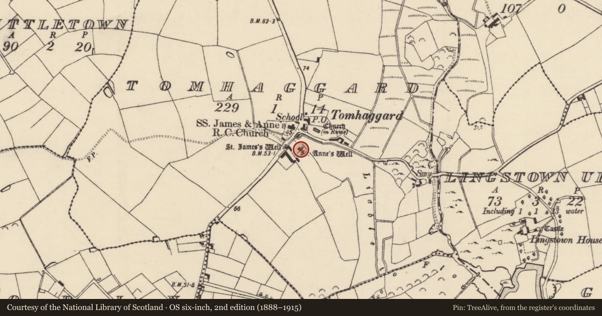 Ordnance Survey six-inch map, 2nd edition (1888–1915) covering the location of Ritual site - holy well, Tomhaggard, County Wexford, with a pin at the register's coordinates