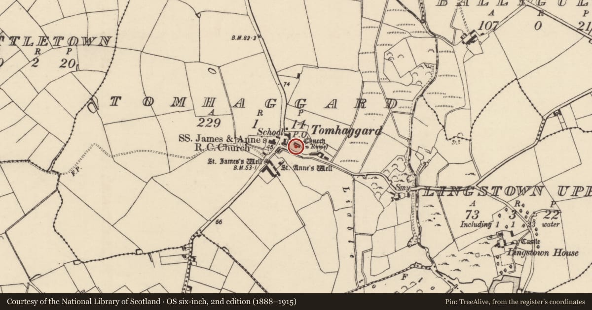 Ordnance Survey six-inch map, 2nd edition (1888–1915) covering the location of Church, Tomhaggard, County Wexford, with a pin at the register's coordinates