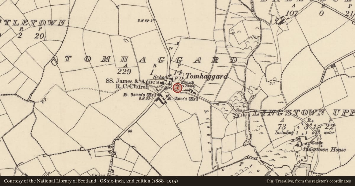 Ordnance Survey six-inch map, 2nd edition (1888–1915) covering the location of Graveyard, Tomhaggard, County Wexford, with a pin at the register's coordinates