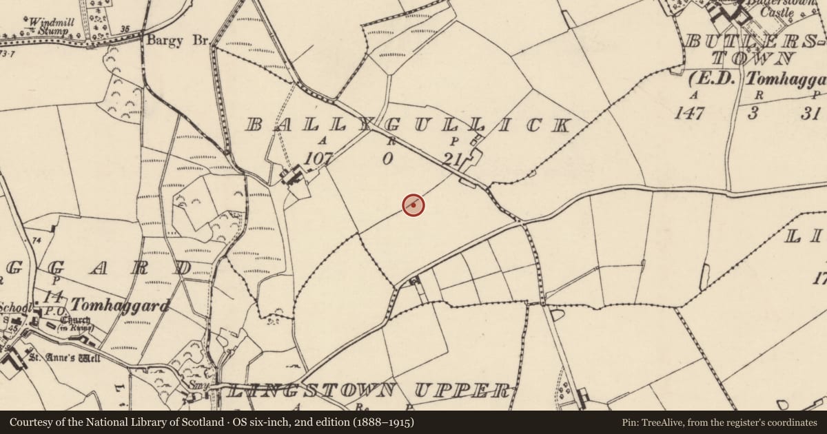 Ordnance Survey six-inch map, 2nd edition (1888–1915) covering the location of Ringfort - rath, Ballygullick, County Wexford, with a pin at the register's coordinates