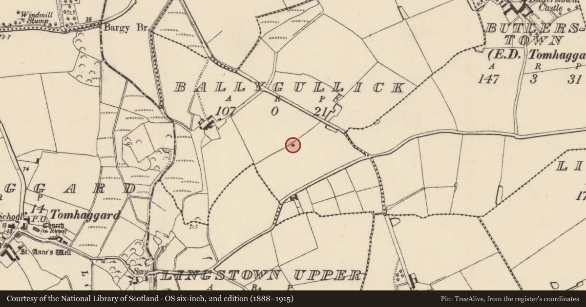 Ordnance Survey six-inch map, 2nd edition (1888–1915) covering the location of Ring-ditch, Ballygullick, County Wexford, with a pin at the register's coordinates