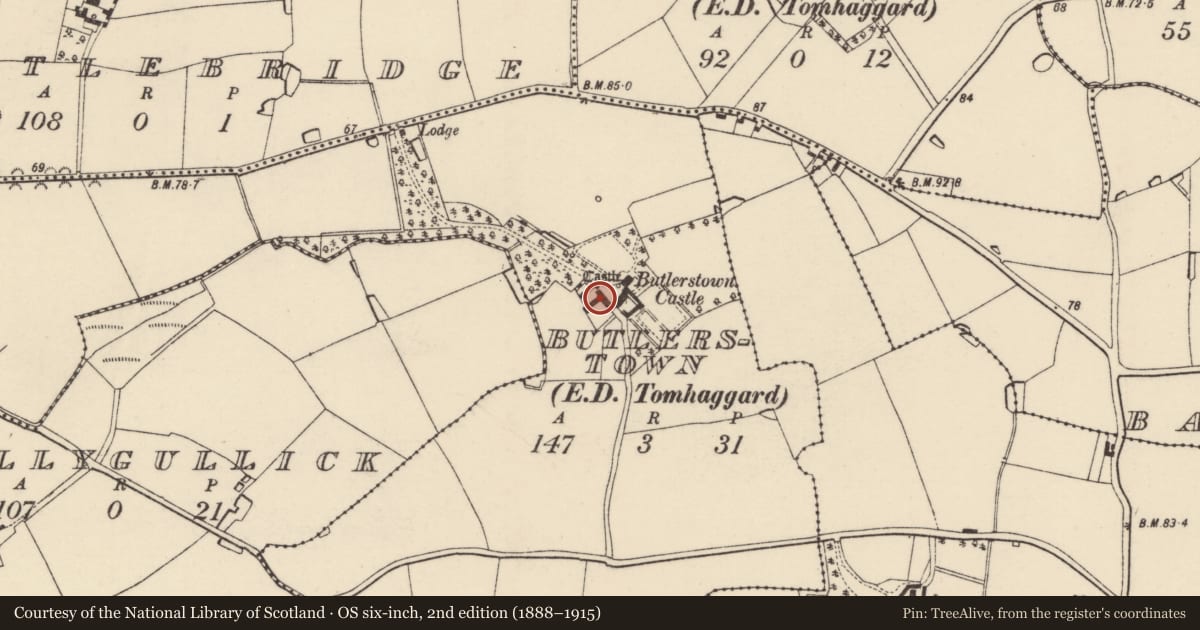 Ordnance Survey six-inch map, 2nd edition (1888–1915) covering the location of Castle - tower house, Butlerstown, County Wexford, with a pin at the register's coordinates