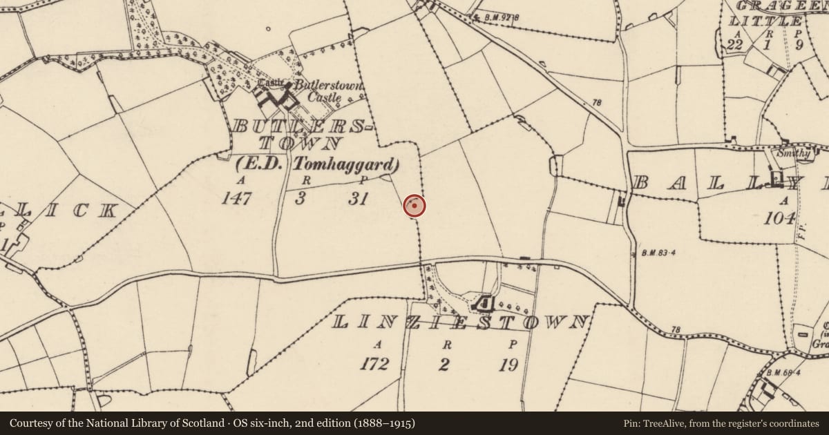 Ordnance Survey six-inch map, 2nd edition (1888–1915) covering the location of Ringfort - rath, Butlerstown, Linziestown, County Wexford, with a pin at the register's coordinates
