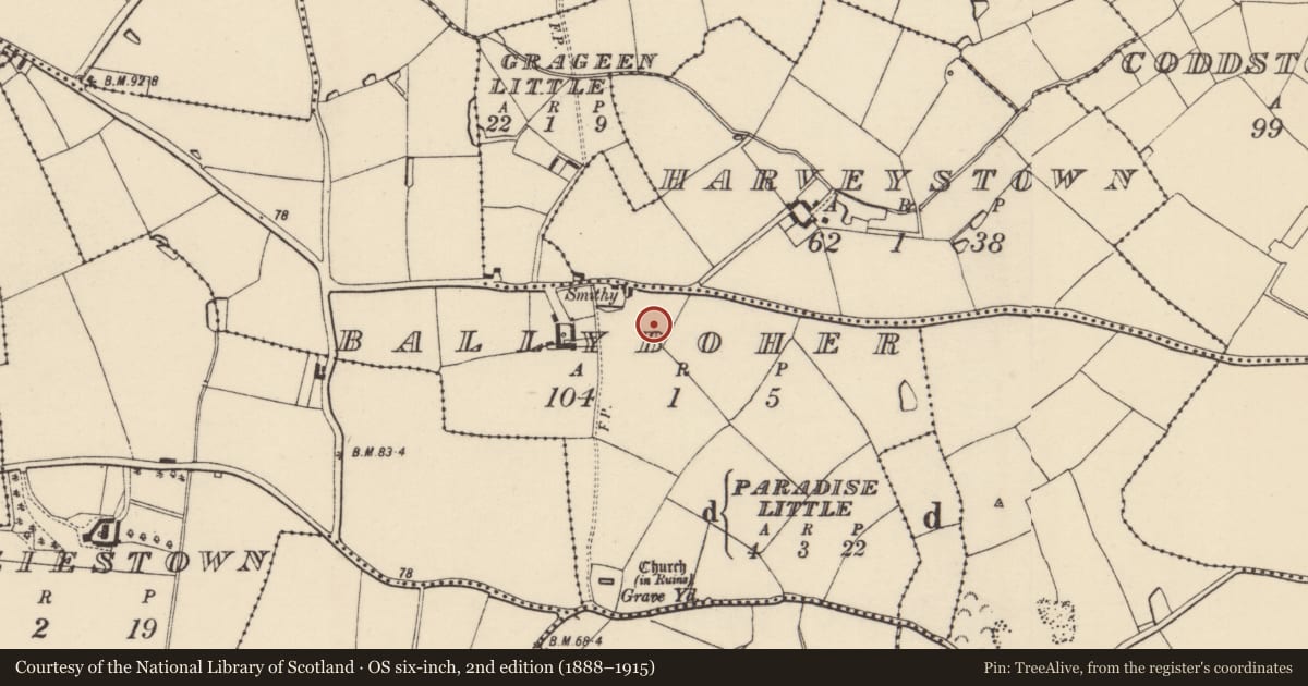 Ordnance Survey six-inch map, 2nd edition (1888–1915) covering the location of Ringfort - rath, Ballyboher, County Wexford, with a pin at the register's coordinates