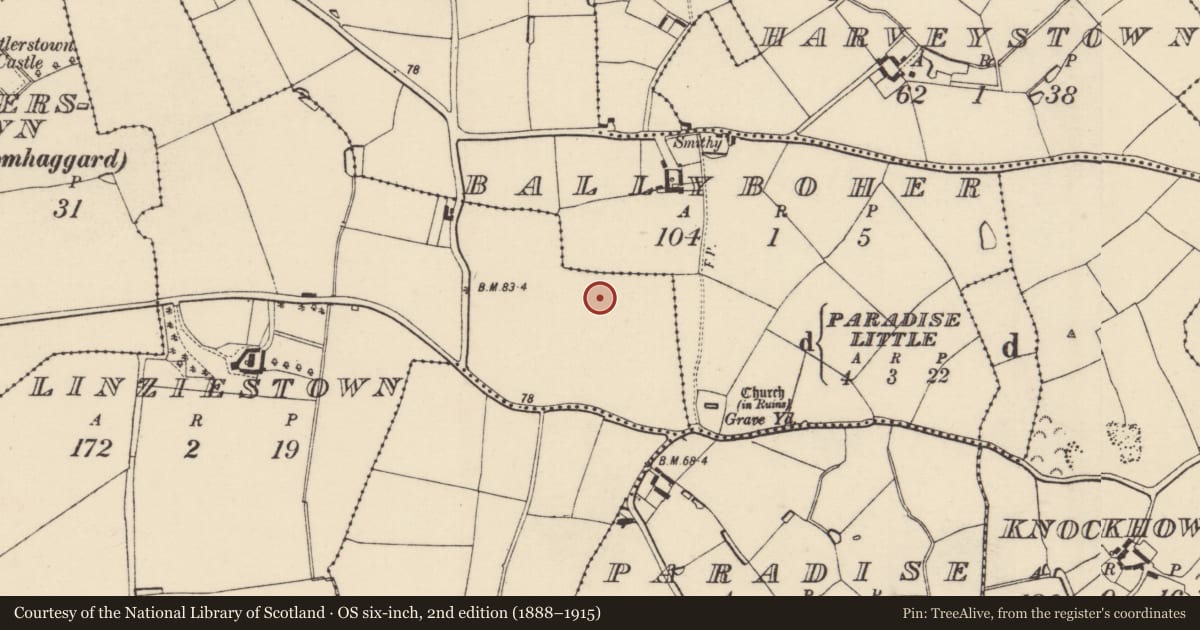 Ordnance Survey six-inch map, 2nd edition (1888–1915) covering the location of Ring-ditch, Linziestown, County Wexford, with a pin at the register's coordinates