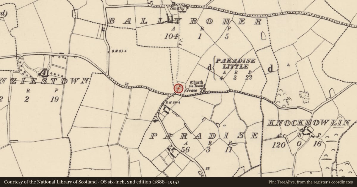 Ordnance Survey six-inch map, 2nd edition (1888–1915) covering the location of Graveyard, Ballyboher, County Wexford, with a pin at the register's coordinates