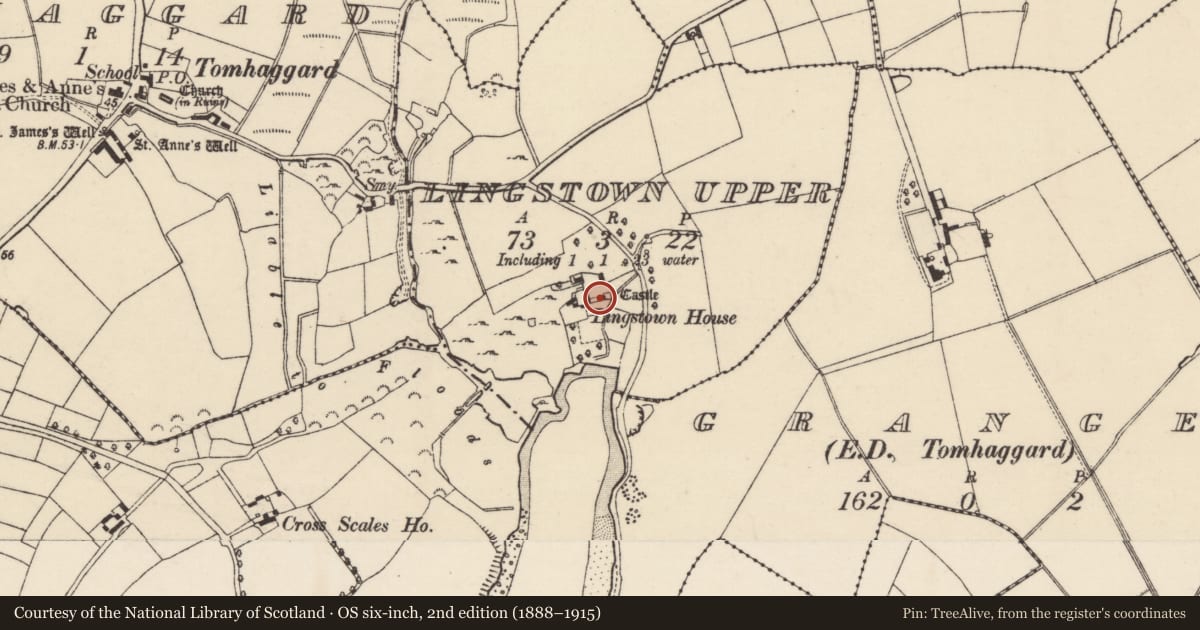 Ordnance Survey six-inch map, 2nd edition (1888–1915) covering the location of Castle - tower house, Lingstown Upper, County Wexford, with a pin at the register's coordinates