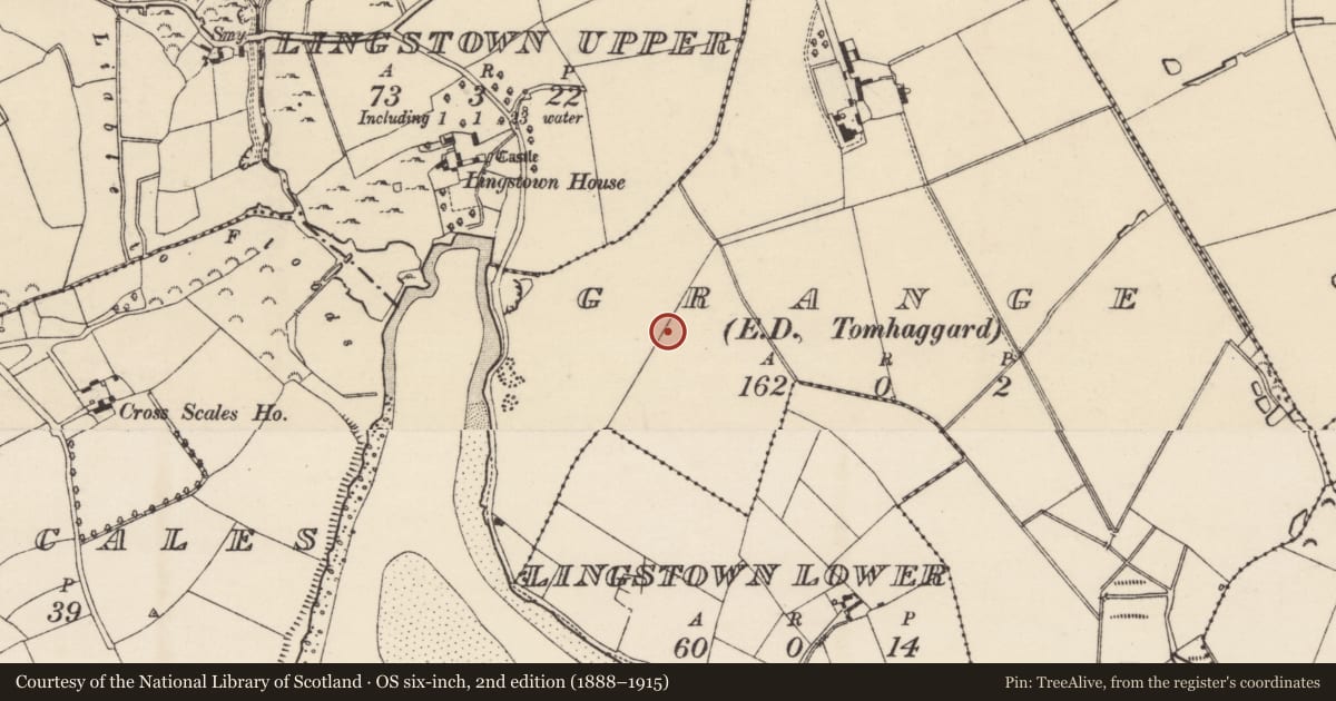Ordnance Survey six-inch map, 2nd edition (1888–1915) covering the location of Ringfort - rath, Grange, County Wexford, with a pin at the register's coordinates