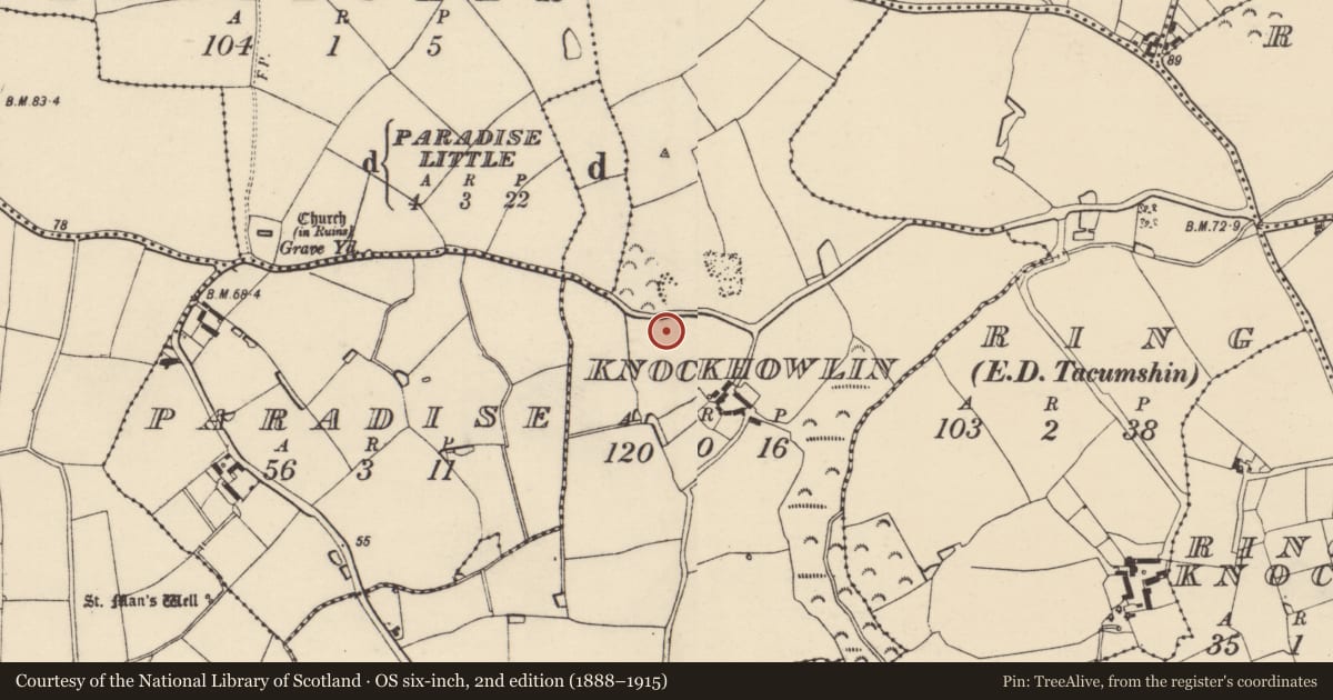 Ordnance Survey six-inch map, 2nd edition (1888–1915) covering the location of Standing stone, Knockhowlin, County Wexford, with a pin at the register's coordinates