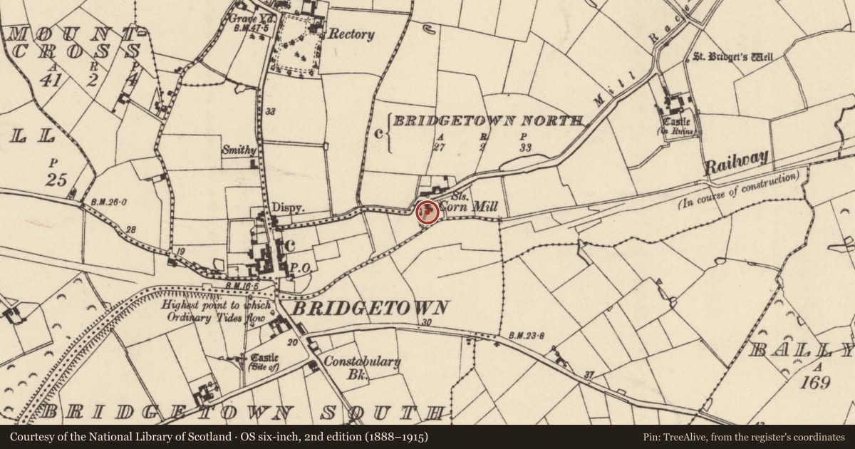 Ordnance Survey six-inch map, 2nd edition (1888–1915) covering the location of Water mill - unclassified, Mulrankin, County Wexford, with a pin at the register's coordinates