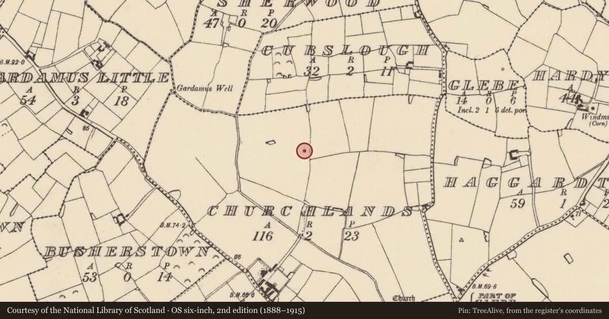 Ordnance Survey six-inch map, 2nd edition (1888–1915) covering the location of Ringfort - rath, Churchlands, County Wexford, with a pin at the register's coordinates