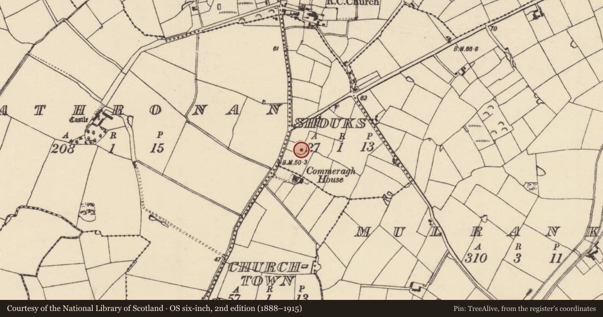 Ordnance Survey six-inch map, 2nd edition (1888–1915) covering the location of Ringfort - rath, Shouks, County Wexford, with a pin at the register's coordinates