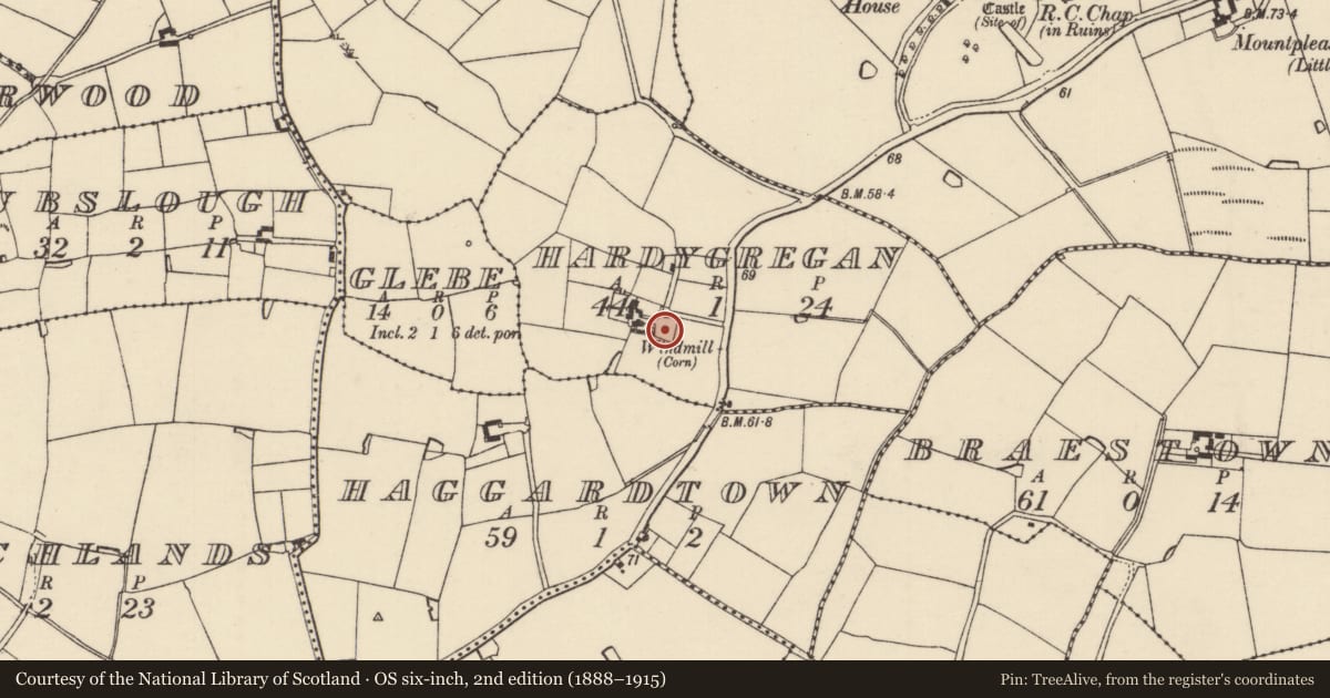 Ordnance Survey six-inch map, 2nd edition (1888–1915) covering the location of Windmill, Hardygregan, County Wexford, with a pin at the register's coordinates
