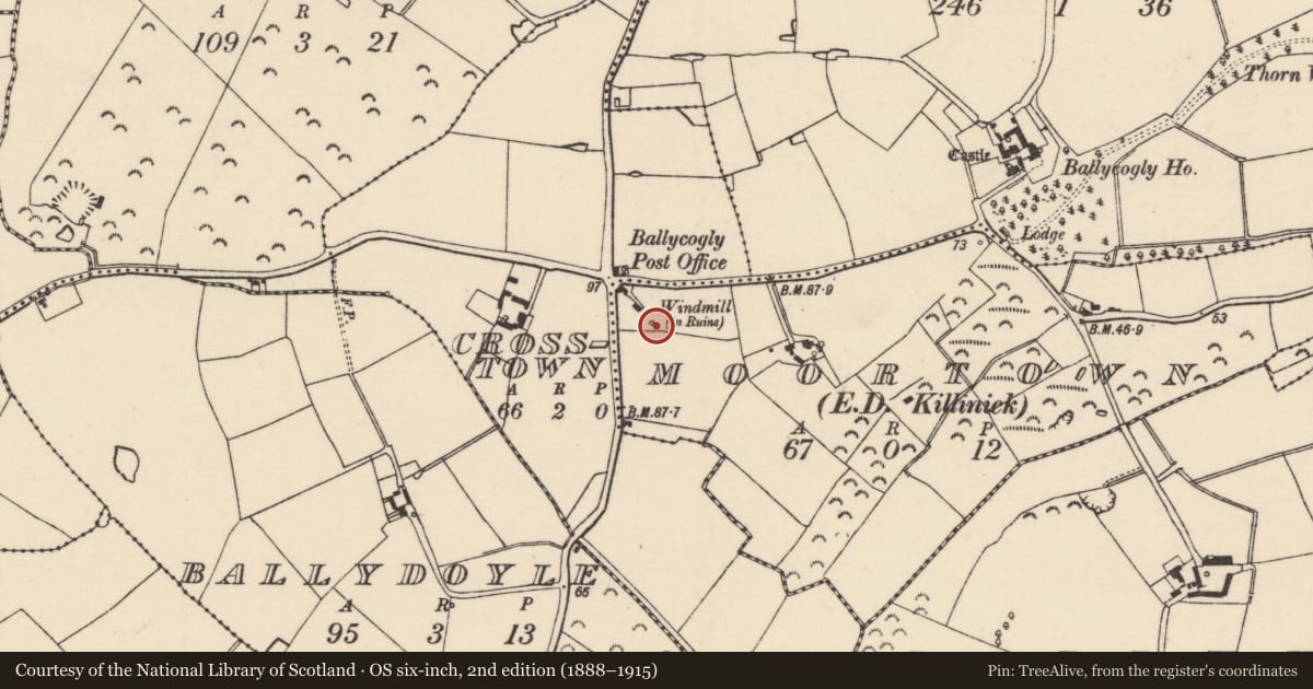 Ordnance Survey six-inch map, 2nd edition (1888–1915) covering the location of Windmill, Moortown, County Wexford, with a pin at the register's coordinates