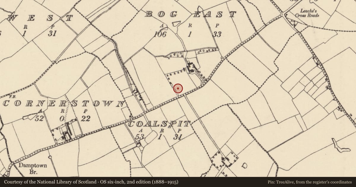 Ordnance Survey six-inch map, 2nd edition (1888–1915) covering the location of Ringfort - rath, Bog East, County Wexford, with a pin at the register's coordinates