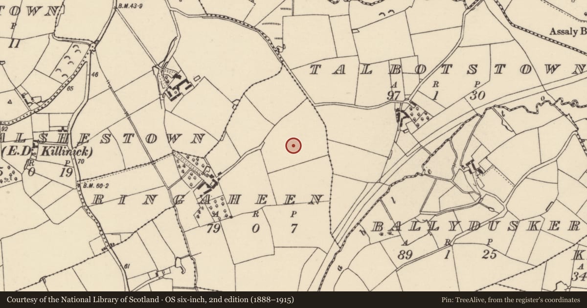 Ordnance Survey six-inch map, 2nd edition (1888–1915) covering the location of Field system, Ringaheen, County Wexford, with a pin at the register's coordinates
