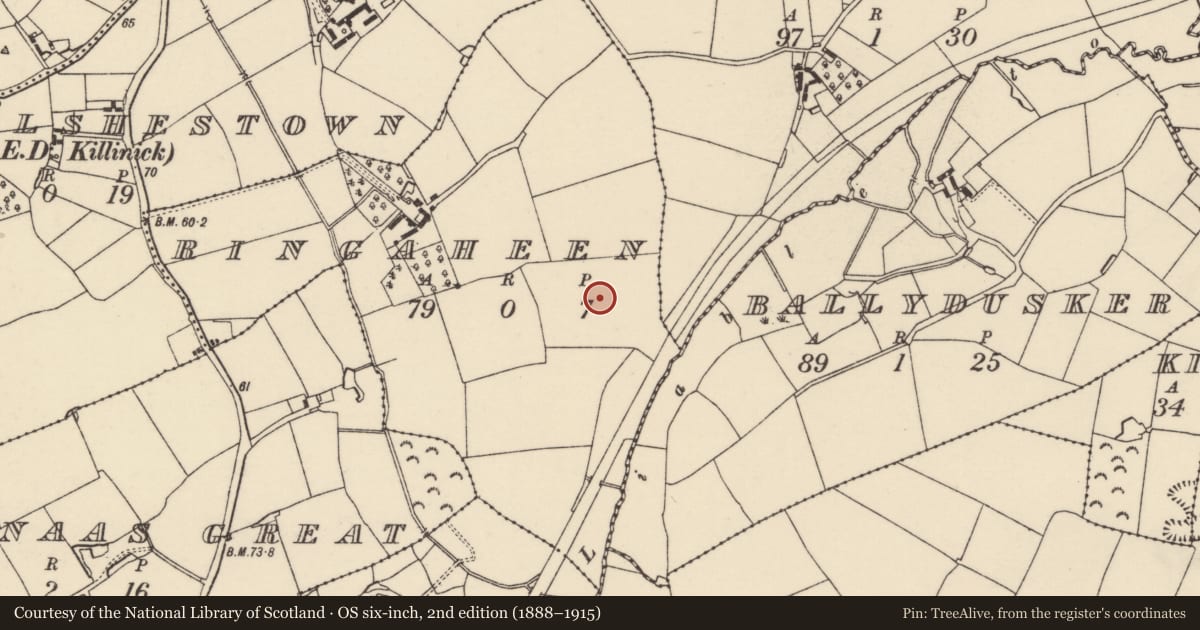 Ordnance Survey six-inch map, 2nd edition (1888–1915) covering the location of Enclosure, Ringaheen, County Wexford, with a pin at the register's coordinates