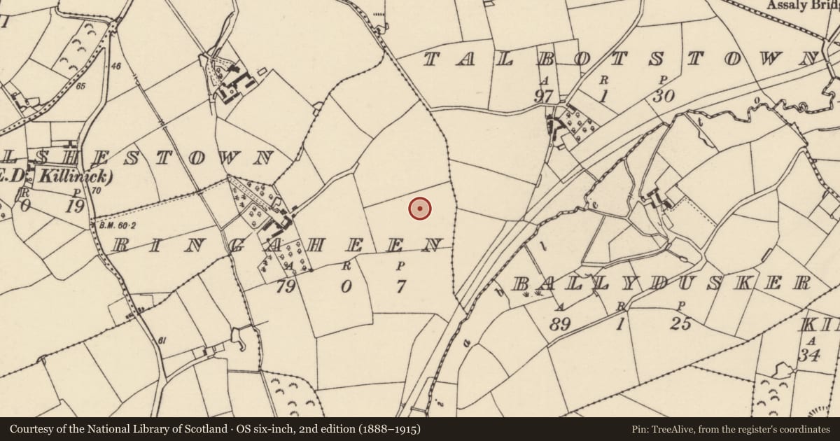 Ordnance Survey six-inch map, 2nd edition (1888–1915) covering the location of Ring-ditch, Ringaheen, County Wexford, with a pin at the register's coordinates