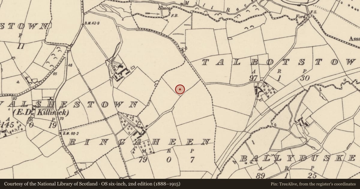 Ordnance Survey six-inch map, 2nd edition (1888–1915) covering the location of Ring-ditch, Ringaheen, County Wexford, with a pin at the register's coordinates