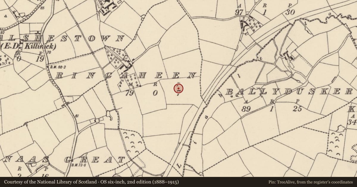 Ordnance Survey six-inch map, 2nd edition (1888–1915) covering the location of Ring-ditch, Ringaheen, County Wexford, with a pin at the register's coordinates