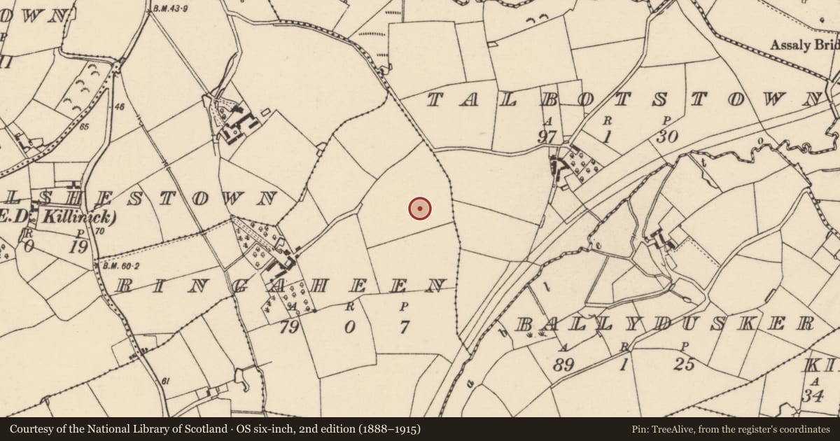 Ordnance Survey six-inch map, 2nd edition (1888–1915) covering the location of Ring-ditch, Ringaheen, County Wexford, with a pin at the register's coordinates