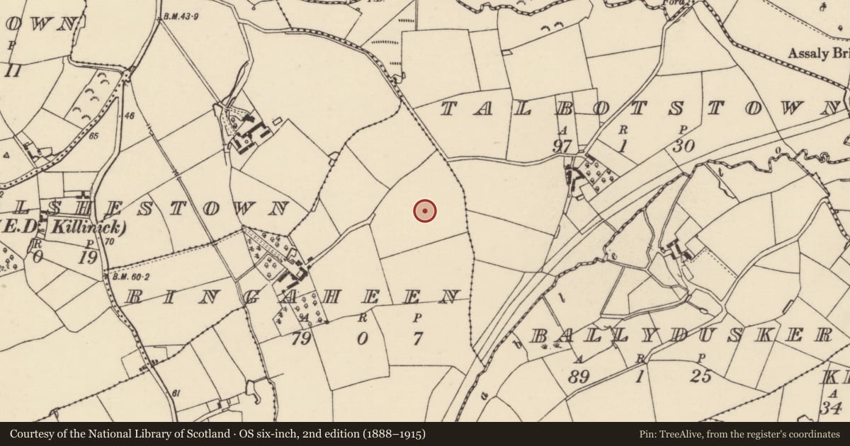 Ordnance Survey six-inch map, 2nd edition (1888–1915) covering the location of Ring-ditch, Ringaheen, County Wexford, with a pin at the register's coordinates