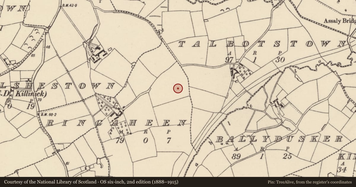 Ordnance Survey six-inch map, 2nd edition (1888–1915) covering the location of Enclosure, Ringaheen, County Wexford, with a pin at the register's coordinates