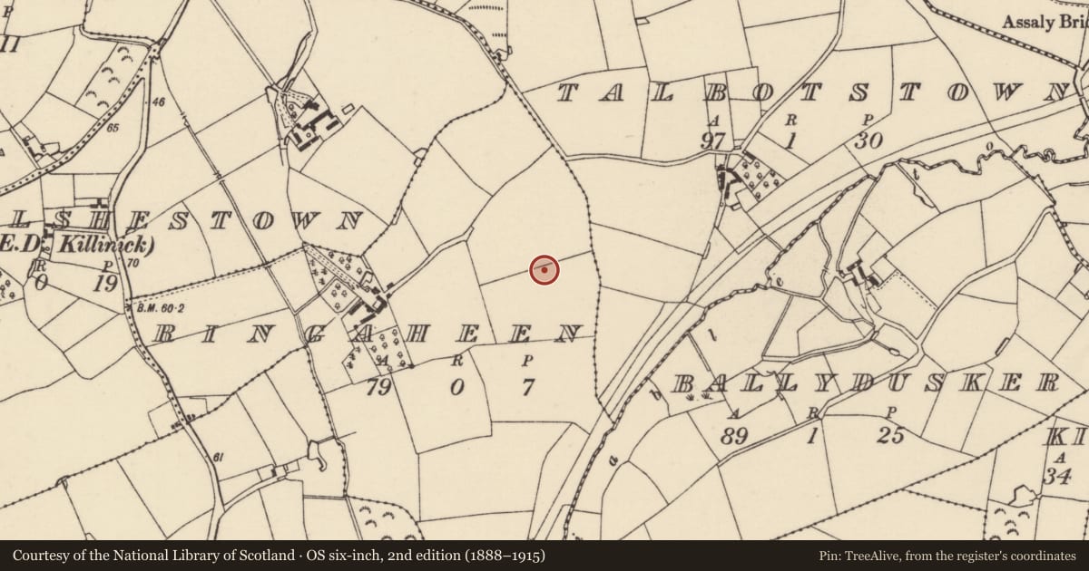 Ordnance Survey six-inch map, 2nd edition (1888–1915) covering the location of Ring-ditch, Ringaheen, County Wexford, with a pin at the register's coordinates