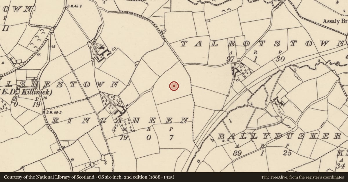 Ordnance Survey six-inch map, 2nd edition (1888–1915) covering the location of Road - road/trackway, Ringaheen, County Wexford, with a pin at the register's coordinates