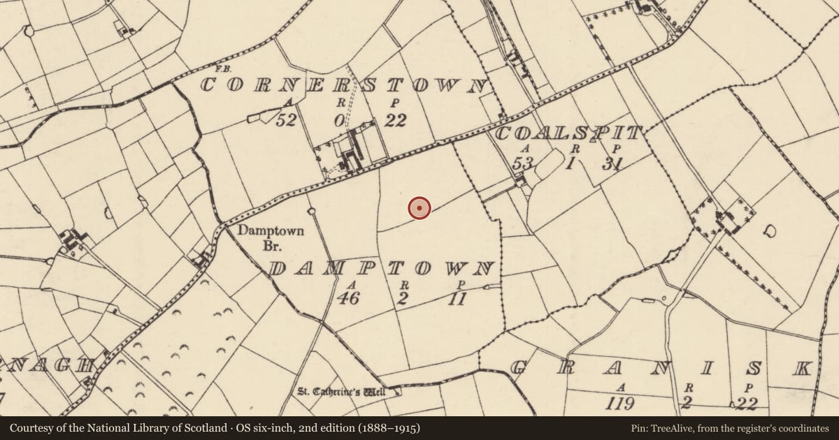 Ordnance Survey six-inch map, 2nd edition (1888–1915) covering the location of Ring-ditch, Damptown, County Wexford, with a pin at the register's coordinates