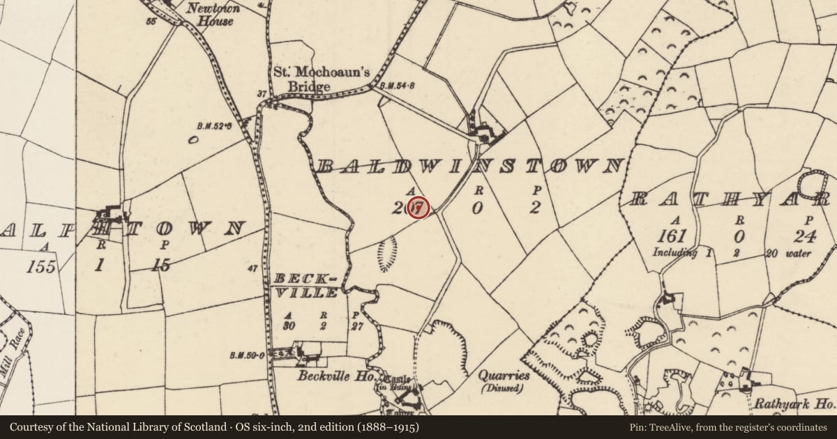 Ordnance Survey six-inch map, 2nd edition (1888–1915) covering the location of Enclosure, Baldwinstown, County Wexford, with a pin at the register's coordinates