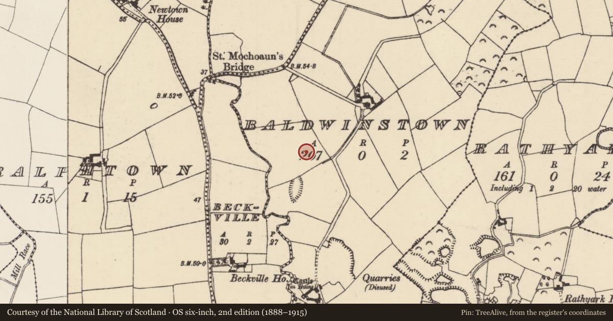 Ordnance Survey six-inch map, 2nd edition (1888–1915) covering the location of Ring-ditch, Baldwinstown, County Wexford, with a pin at the register's coordinates